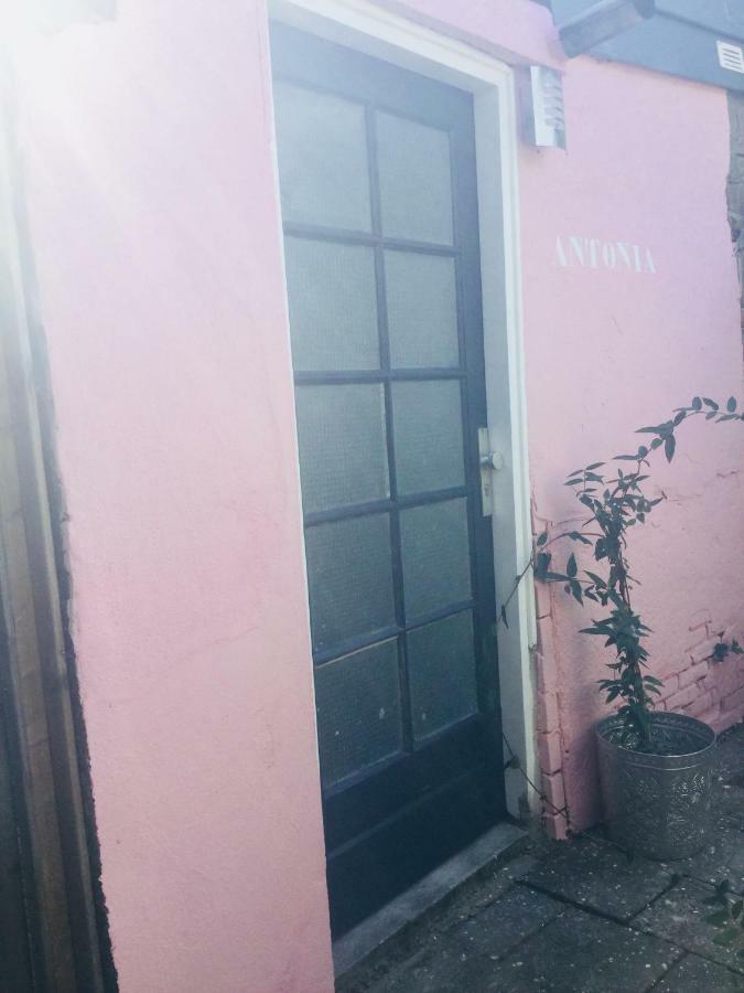 Antonia Beach House لاهاي المظهر الخارجي الصورة